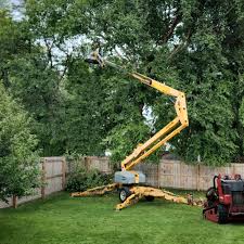 Best Commercial Tree Services  in Day Heights, OH