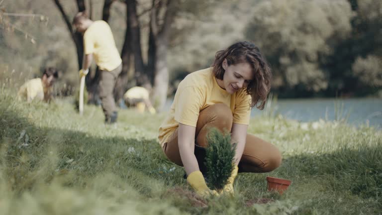 Best Lawn Drainage Solutions  in Day Heights, OH